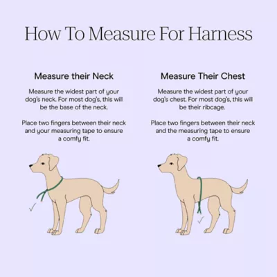 Wild One Adjustable Cushioned Dog Harness, Color and Size Vary - Image 6