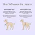 Wild One Adjustable Cushioned Dog Harness, Color and Size Vary image thumbnail 6