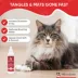Warren London Cat Detangler Spray W/ Aloe Vera & Jojoba Oil, Frangrance Free- 8 Fl Oz image thumbnail 2