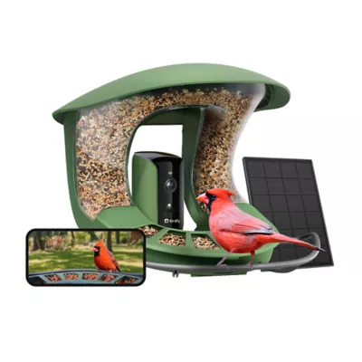 Birdfy Smart Bird Feeder 2 with Solar Panel - Image 1