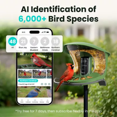 Birdfy Smart Bird Feeder 2 with Solar Panel - Image 3