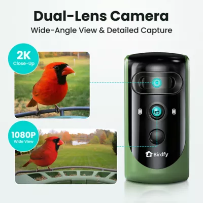 Birdfy Smart Bird Feeder 2 with Solar Panel - Image 4