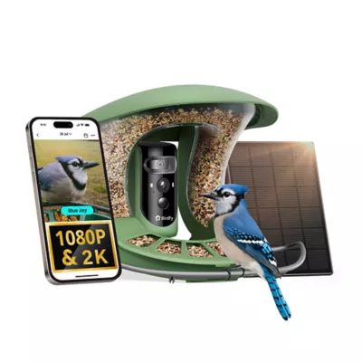 Birdfy Smart Bird Feeder Pro 2 AI Recognition - Image 1