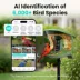 Birdfy Smart Bird Feeder Pro 2 AI Recognition image thumbnail 3