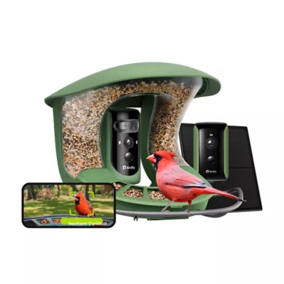Birdfy Smart Bird Feeder 2 Duo - Image 1