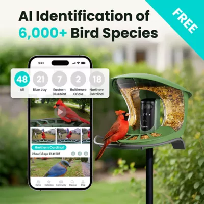 Birdfy Smart Bird Feeder 2 Duo - Image 3