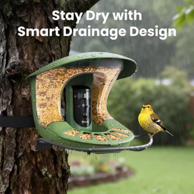 Birdfy Smart Bird Feeder 2 Duo - Image 7