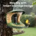 Birdfy Smart Bird Feeder 2 Duo image thumbnail 7