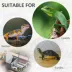 PawHut Wood Tortoise House for Lizards, Geckos, 35.8" x 23.8" x 12.6" image thumbnail 7