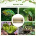 PawHut Reptile Terrarium, 58 Gallon Reptile Tank with Sliding Doors, Breathable Mesh image thumbnail 4