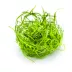 Tropica Sagittaria subulata Needle Leaf Live Aquarium Plant for Fish Tanks image thumbnail 2