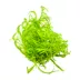 Tropica Najas guadalupensis Guppy Grass Live Aquarium Plant for Fish Tanks image thumbnail 2