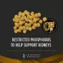 Purina Pro Plan Veterinary Diets NF Kidney Function Adult Dry Dog Food image thumbnail 6