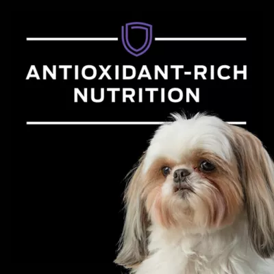 Purina Pro Plan Veterinary Diets NF Kidney Function Adult Dry Dog Food - Image 9