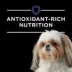 Purina Pro Plan Veterinary Diets NF Kidney Function Adult Dry Dog Food image thumbnail 9