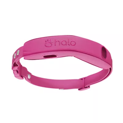 Halo Collar Pro Case & Waterproof/ Odor Proof Strap Kit W/ Adjustable Stap For Customized Fit - Image 1