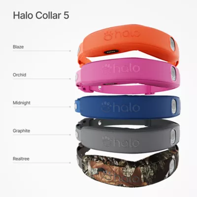 Halo Collar Pro Case & Waterproof/ Odor Proof Strap Kit W/ Adjustable Stap For Customized Fit - Image 4