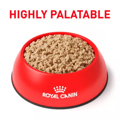 Royal Canin Veterinary Diet Selected Protein PD Adult Wet Cat Food - Loaf, 5.1 OZ - Image 4