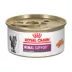 Royal Canin Veterinary Diet Renal Support Early Consult Adult Wet Cat Food - Loaf in Sauce, 3 OZ image thumbnail 1