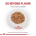 Royal Canin Veterinary Diet Renal Support Early Consult Adult Wet Cat Food - Loaf in Sauce, 3 OZ image thumbnail 2