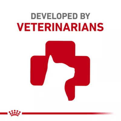 Royal Canin Veterinary Diet Renal Support Early Consult Adult Wet Cat Food - Loaf in Sauce, 3 OZ - Image 6