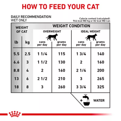 Royal Canin Veterinary Diet Renal Support Early Consult Adult Wet Cat Food - Loaf in Sauce, 3 OZ - Image 7