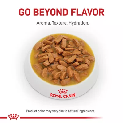 Royal Canin Veterinary Diet Urinary SO Adult Wet Dog Food - Thin Slices in Gravy, 12.5 OZ - Image 2