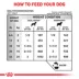 Royal Canin Veterinary Diet Urinary SO Adult Wet Dog Food - Thin Slices in Gravy, 12.5 OZ image thumbnail 7