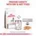 Royal Canin Veterinary Diet Selected Protein PD Adult Wet Dog Food - Loaf, 13.7 OZ image thumbnail 4