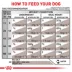 Royal Canin Veterinary Diet Selected Protein PD Adult Wet Dog Food - Loaf, 13.7 OZ image thumbnail 7