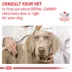 Royal Canin Veterinary Diet Selected Protein PD Adult Wet Dog Food - Loaf, 13.7 OZ image thumbnail 9