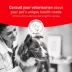 Royal Canin Veterinary Diet Multifunction Dry Dog Food - Gastrointestinal Low Fat Hydrolyzed Protein image thumbnail 8