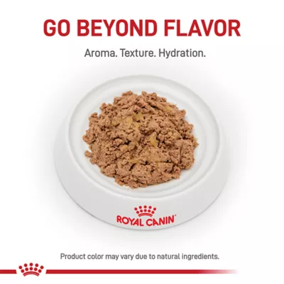 Royal Canin Veterinary Diet Renal Support Early Consult Adult Wet Dog Food - Loaf in Sauce, 5.2 OZ - Image 2