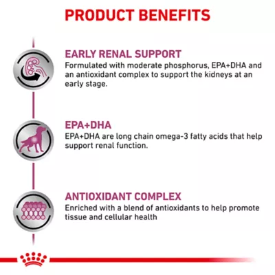 Royal Canin Veterinary Diet Renal Support Early Consult Adult Wet Dog Food - Loaf in Sauce, 5.2 OZ - Image 3