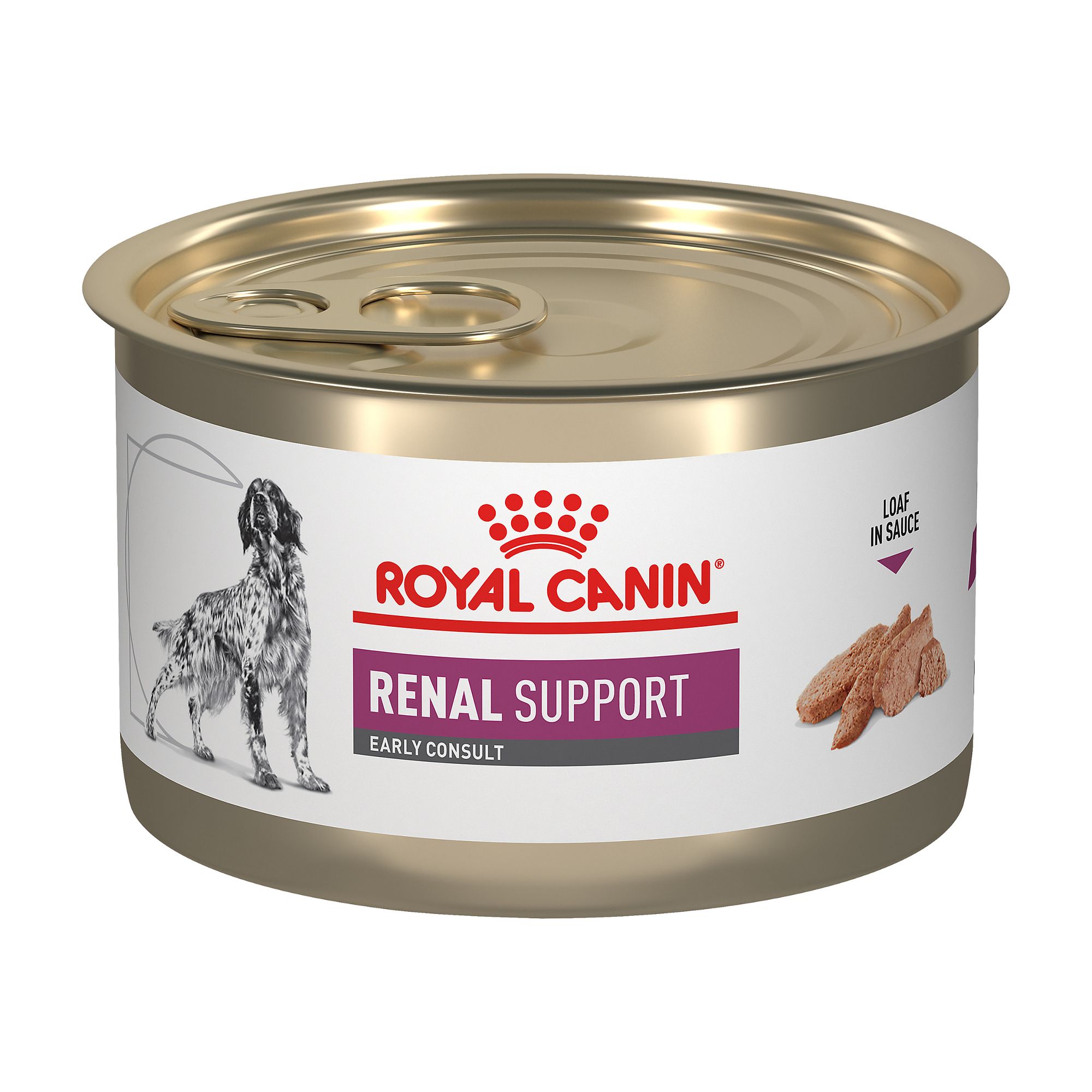Royal Canin Veterinary Diet Selected Protein PD Adult Wet Dog Food - Loaf, 13.5 OZ by Royal Canin