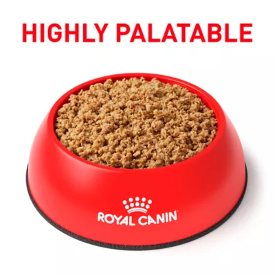 Royal Canin Veterinary Diet Selected Protein PD Adult Wet Dog Food - Loaf, 13.5 OZ - Image 4