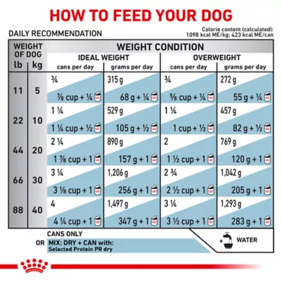 Royal Canin Veterinary Diet Selected Protein PR Adult Wet Dog Food - Loaf, 13.5 OZ - Image 7