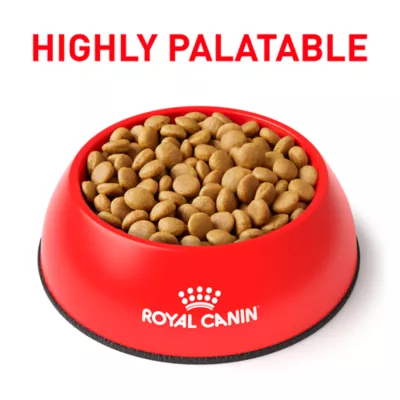 Royal Canin Veterinary Diet Selected Protein PW Adult Dry Dog Food - Potato & Whitefish - Image 5
