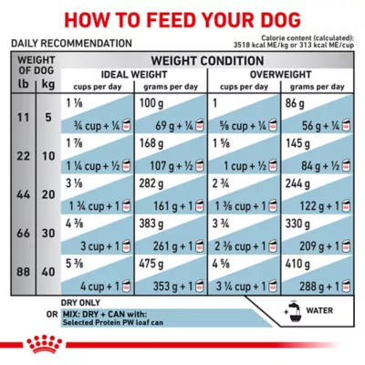 Royal Canin Veterinary Diet Selected Protein PW Adult Dry Dog Food - Potato & Whitefish - Image 9