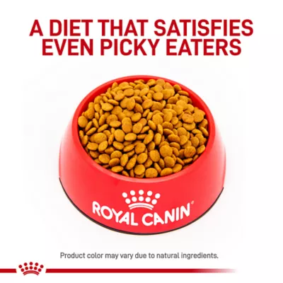 Royal Canin Veterinary Diet Gastrointestinal Moderate Calorie Adult Dry Dog Food - Image 2