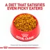 Royal Canin Veterinary Diet Gastrointestinal Moderate Calorie Adult Dry Dog Food image thumbnail 2