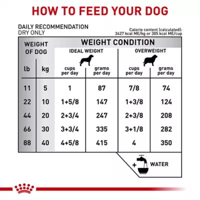 Royal Canin Veterinary Diet Gastrointestinal Moderate Calorie Adult Dry Dog Food - Image 8