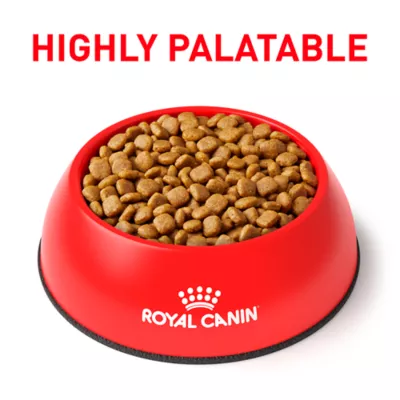 Royal Canin Veterinary Diet Multifunction Adult Dry Dog Food - Urinary SO + Hydrolyzed Protein - Image 4
