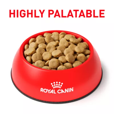Royal Canin Veterinary Diet Selected Protein PW Large Breed Adult Dry Dog Food - Potato & Whitefish - Image 5