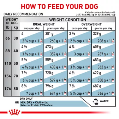Royal Canin Veterinary Diet Selected Protein PW Large Breed Adult Dry Dog Food - Potato & Whitefish - Image 9