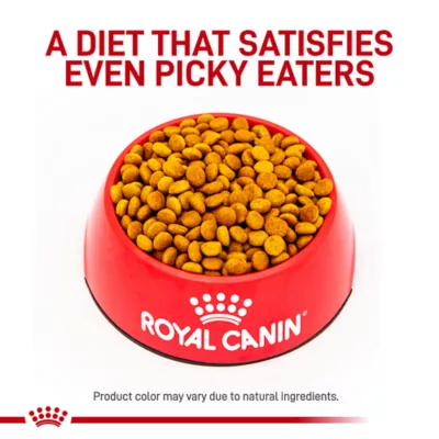Royal Canin Veterinary Diet Multifunction Adult Dry Dog Food - Advanced Mobility Support + Satiety - Image 2