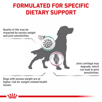 Royal Canin Veterinary Diet Multifunction Adult Dry Dog Food - Advanced Mobility Support + Satiety - Image 5