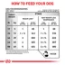 Royal Canin Veterinary Diet Multifunction Adult Dry Dog Food - Advanced Mobility Support + Satiety image thumbnail 9