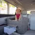 Snoozer® Pet Products Luxury Lookout 2 Elevated Dog Car Seat  W/ Safety Strap, Merlin Pewter image thumbnail 2