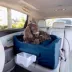 Snoozer® Pet Products Luxury Lookout 2 Elevated Dog Car Seat  W/ Safety Strap, Sapphire image thumbnail 2